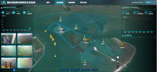 海草床智能监测系统