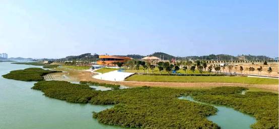 生态岸线修复后