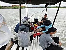 红树林碳储量调查4