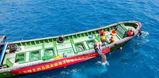 蜈支洲岛海域开展增殖放流活动
