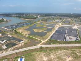 老市村修复前后：生态湿地欣欣向荣2