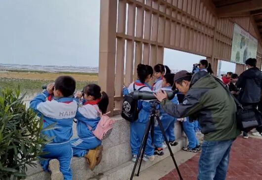 “珍爱湿地，保护候鸟主题研学”活动