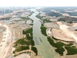 孔雀湾区域修复前（左）