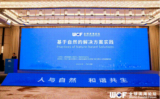 全球滨海论坛系列活动——成果发布2