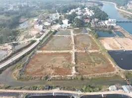 老市村修复前后：生态湿地欣欣向荣3