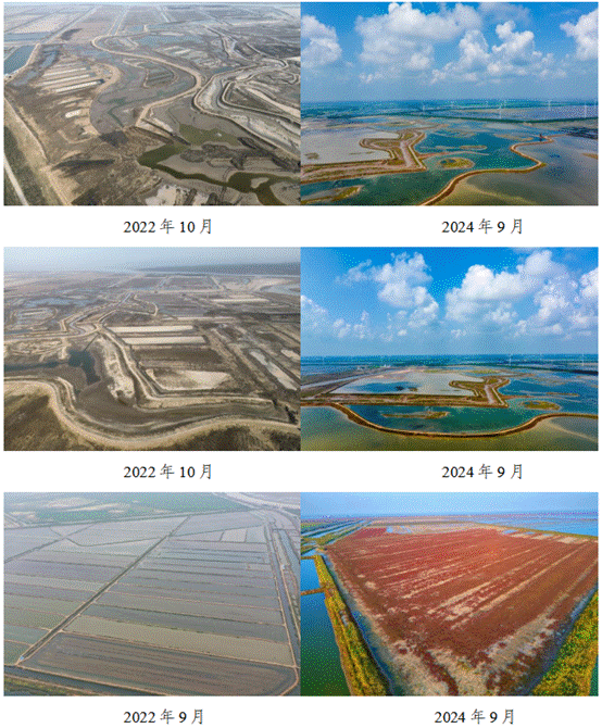 退渔还湿前(左)后(右)