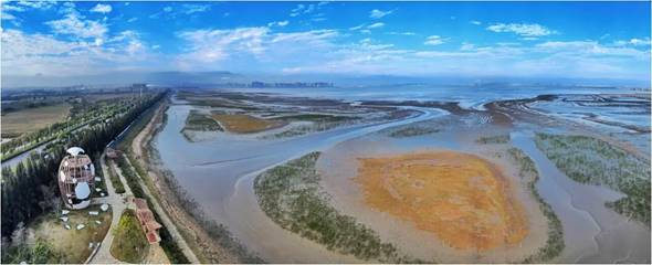泉州湾修复区域全景1