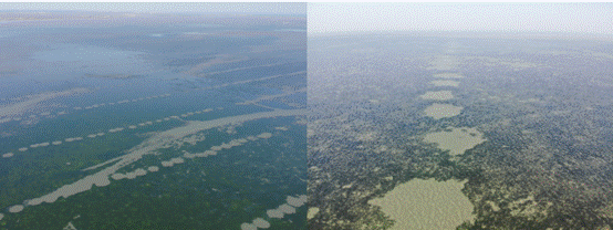 修复前裸斑区航拍图