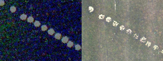 裸斑区卫星影像2022年(左)与无人机正射影像2023年(右)修复前后对比图