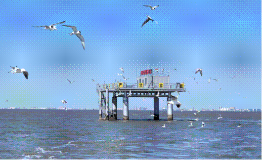 海草床智能监测平台