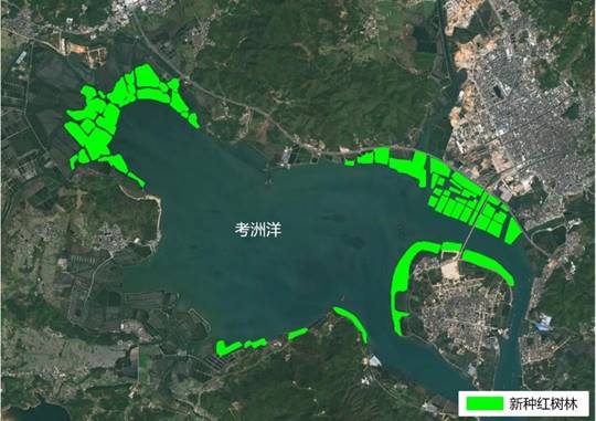 2013-2023年考洲洋修复红树林范围图