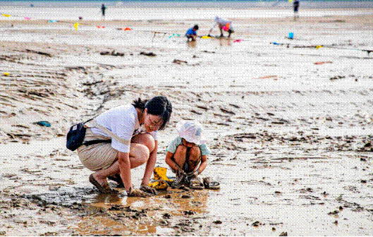 滩涂体验海获满满