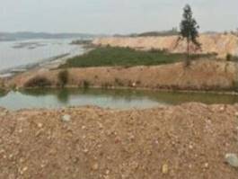 生态岸线修复前1