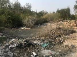 老市村修复前后：河道干净整洁1