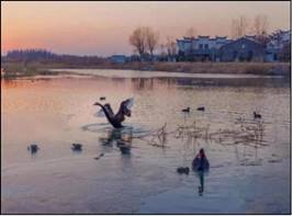 滨海湿地为鸟类等野生动物提供栖息地1