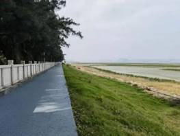 海堤生态化修复后（右）