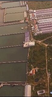 2016年整治前凤凰山岸滩垃圾成堆、污水直排入海，薛家岛沿岸养殖设施占礁侵沙、破坏岸线（右）