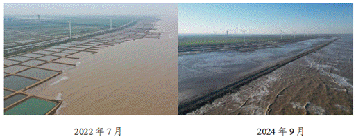 离岸生态潜堤建设前(左)后(右)