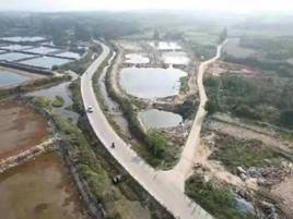 老市村修复前后：生态湿地欣欣向荣1