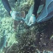 定期清理海洋垃圾（渔网、绳索、塑料制品等）3