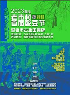 老市村开展的部分文化活动（酸豆节+社会实践）1