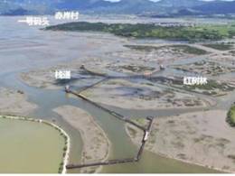 罂公洲-赤岸区域海岸带整治及生态修复工程项目（左：项目实施前）