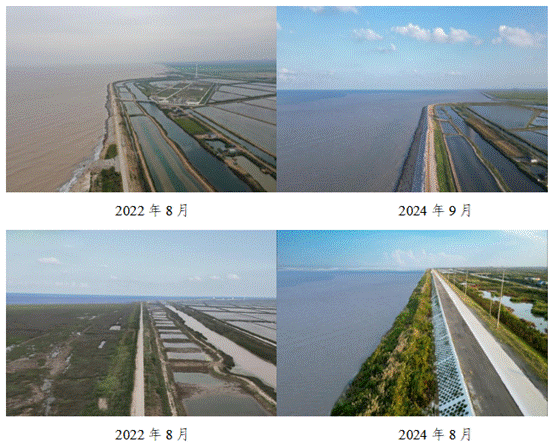 海堤生态化整治前(左)后(右)