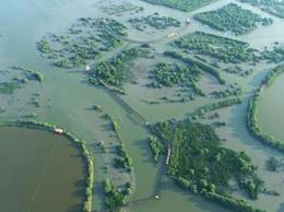 罂公洲-赤岸区域海岸带整治及生态修复工程项目(右:项目实施后)