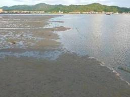 考洲洋重点海湾整治项目（左：项目实施前）