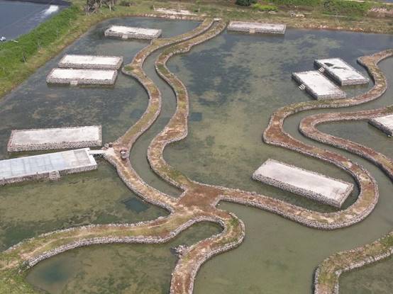 修复后老市村盐田航拍图