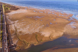 北戴河湿地修复前（左）