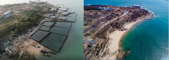 小管岛修复前（左图）、后（右图)