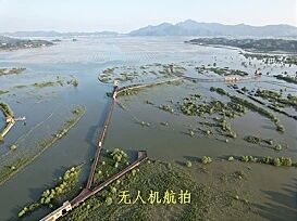 红树林碳储量调查1