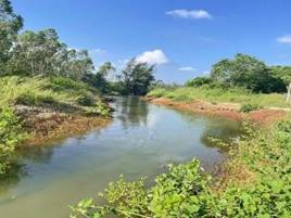 老市村修复前后：河道干净整洁2