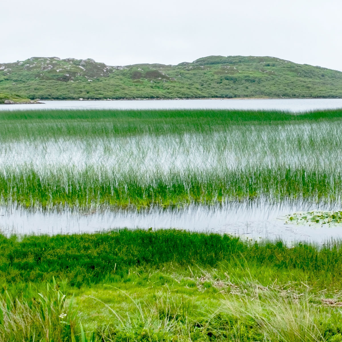 山东省滨海生态环境保护<br>与修复协同创新中心